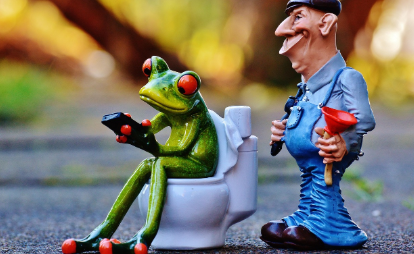 변기에 죽치는 개구리