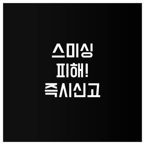 모바일 금융 서비스 중지 스미싱 피해..