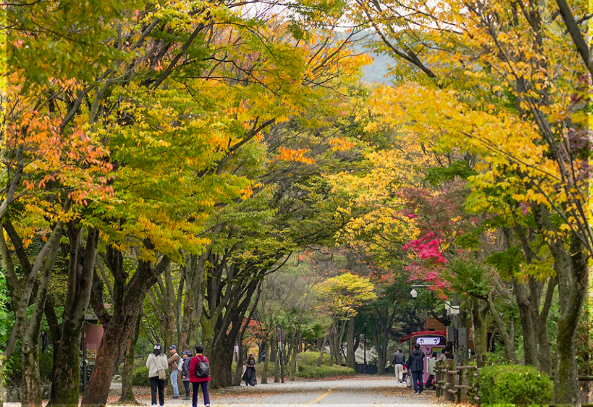 서울대공원 단풍놀이