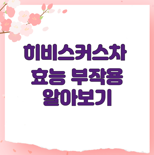 히비스커스차 효능 부작용