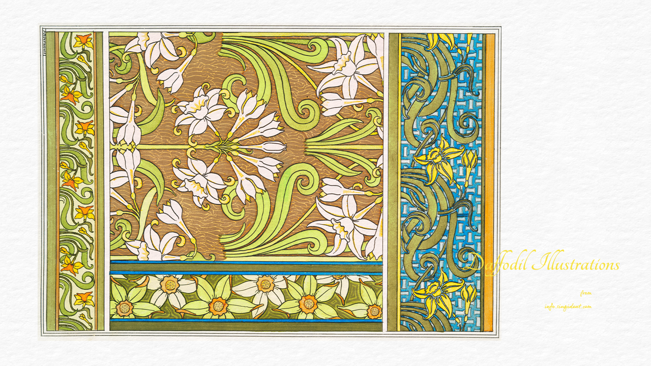 16 수선화 장식 일러스트, Pl 29 C - Daffodil Illustrations 봄배경화면