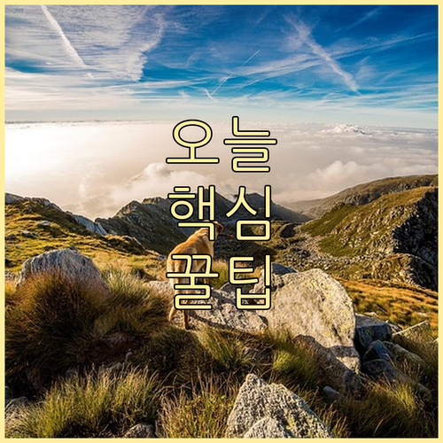 구로구 고척동 쓰레기 배출, 요일별 ..