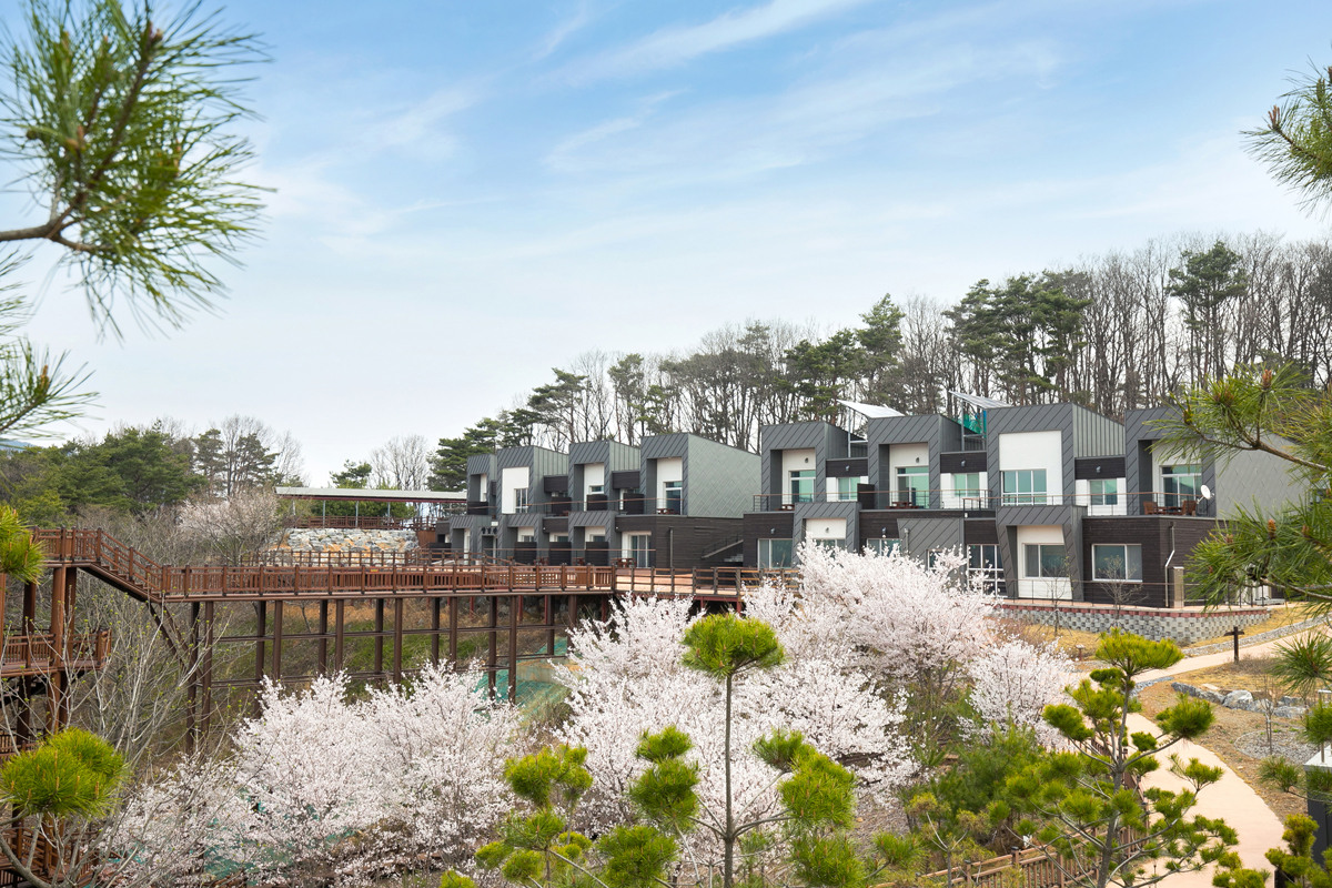 충북 단양 소백산 자연휴양림 예약 여행 지도 숙소 주변 단풍 명소 계곡 트레킹 등산 할인 날씨 정보