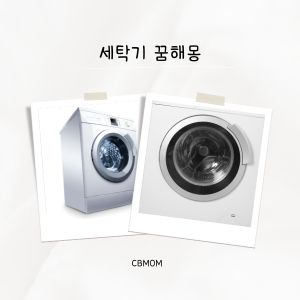 세탁기 꿈