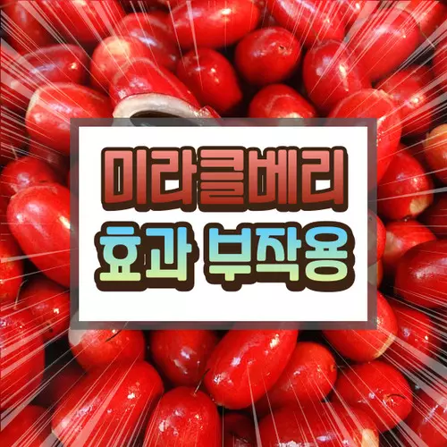 미라클베리에 대하여