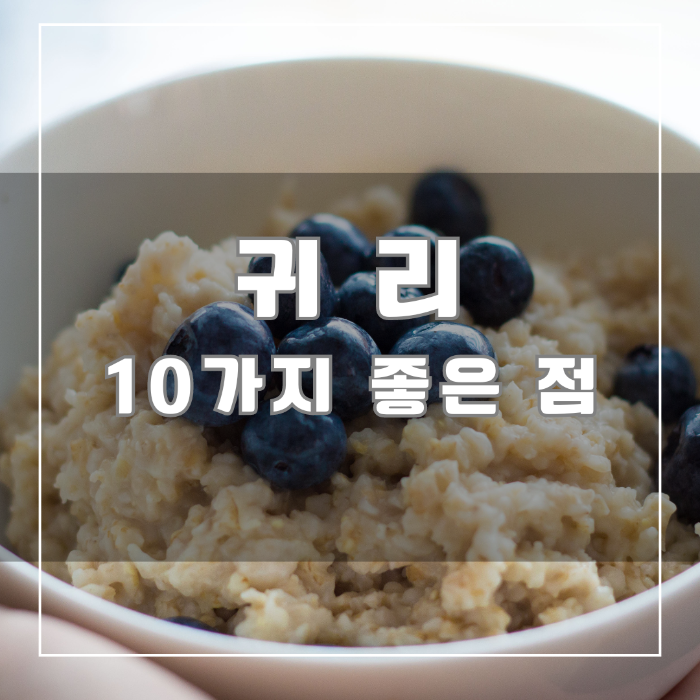귀리의 10가지 좋은 점