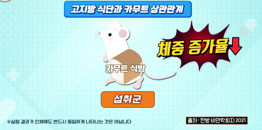 카무트 효소 효능