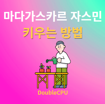마다가스카르 자스민 키우기 물주기