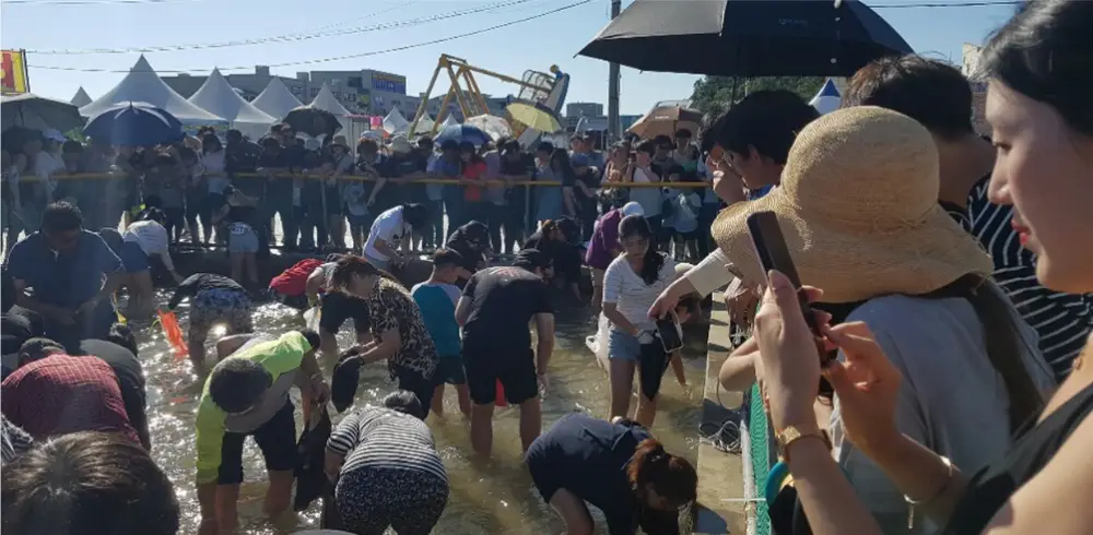 맨손 대하 체험하는 사람들 3