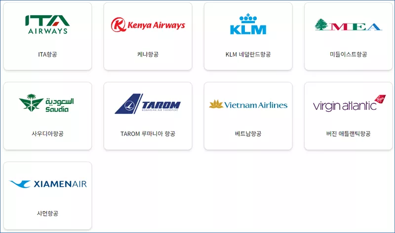 스카이팀 제휴 항공사