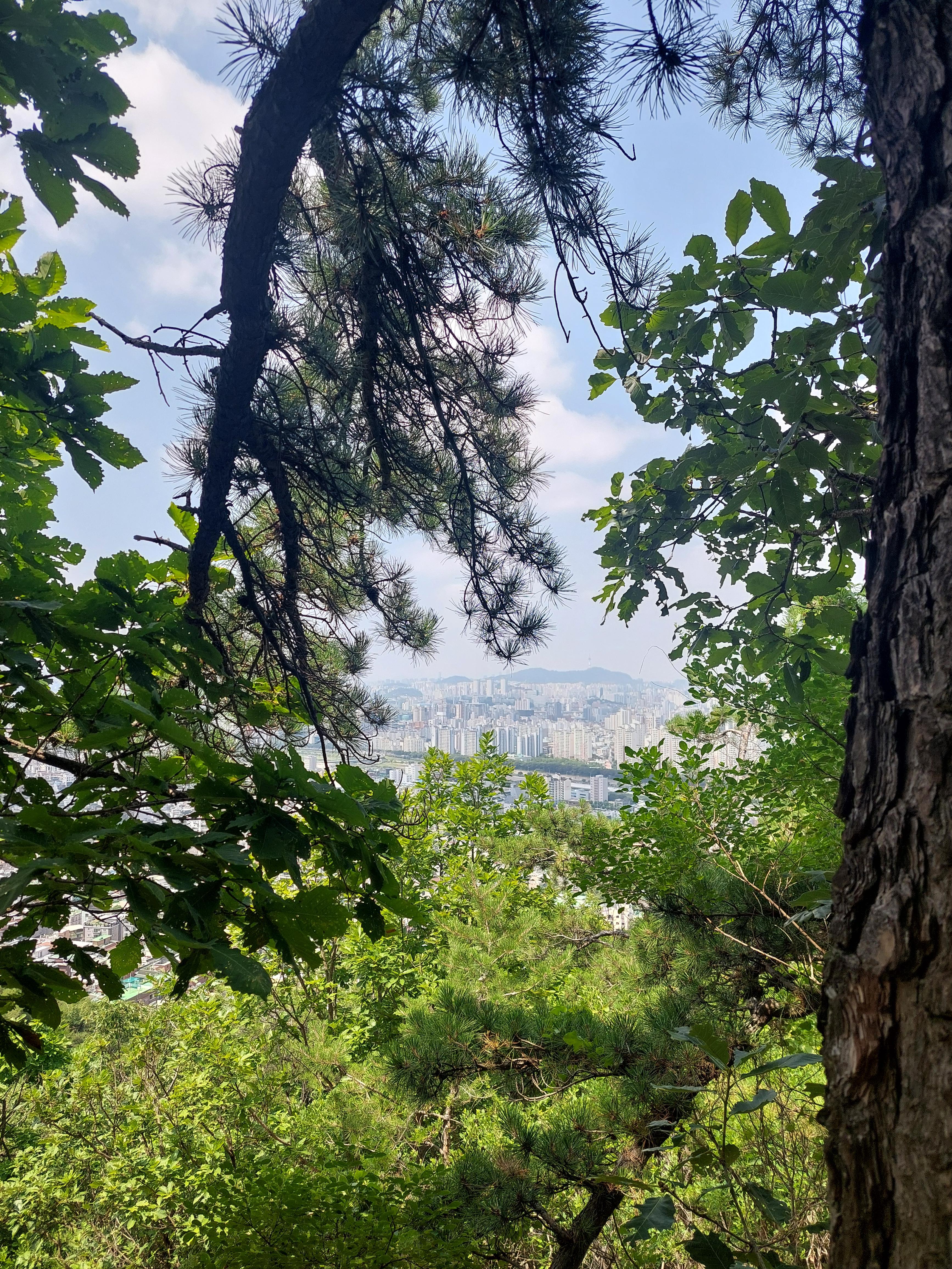 용마산아차산