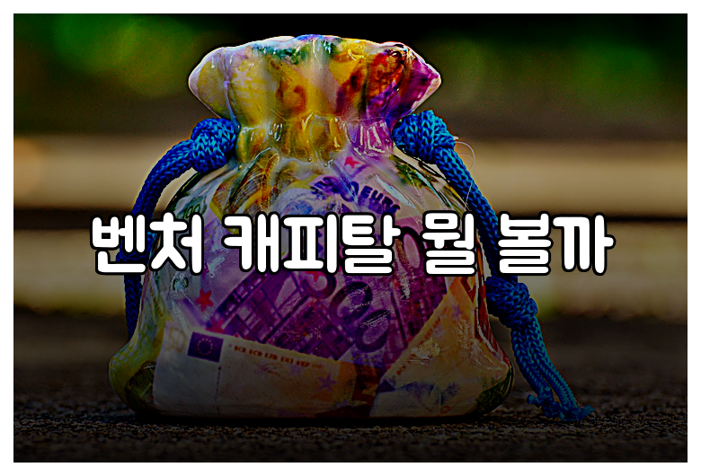 벤처 캐피탈 뭘 볼까