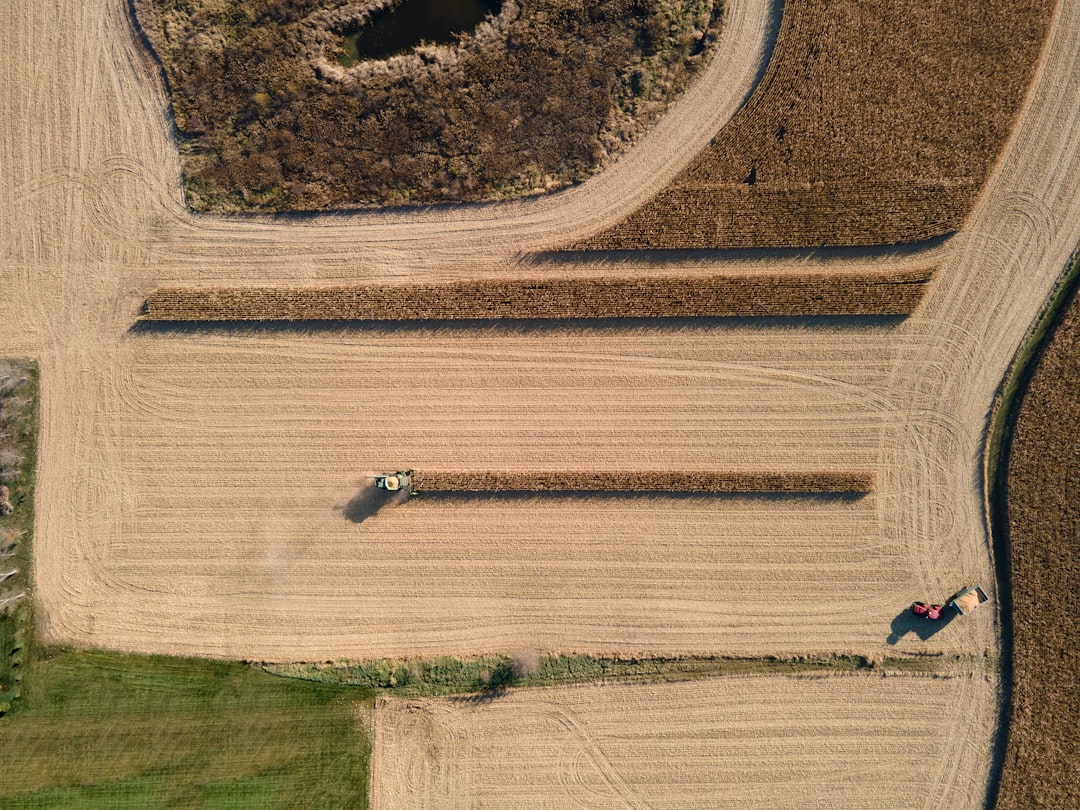 Agricultural management