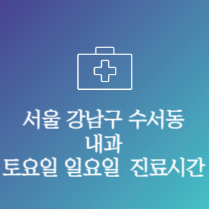 서울 강남구 수서동 내과 주말 토요일 일요일 문여는 병원 진료시간