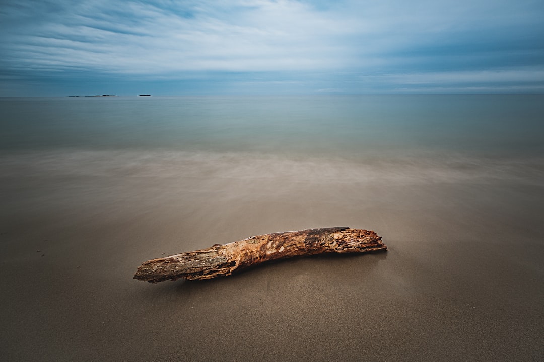 Log