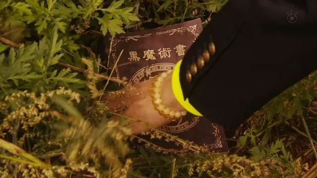 일드 기묘한 이야기 매스매틱의 황혼