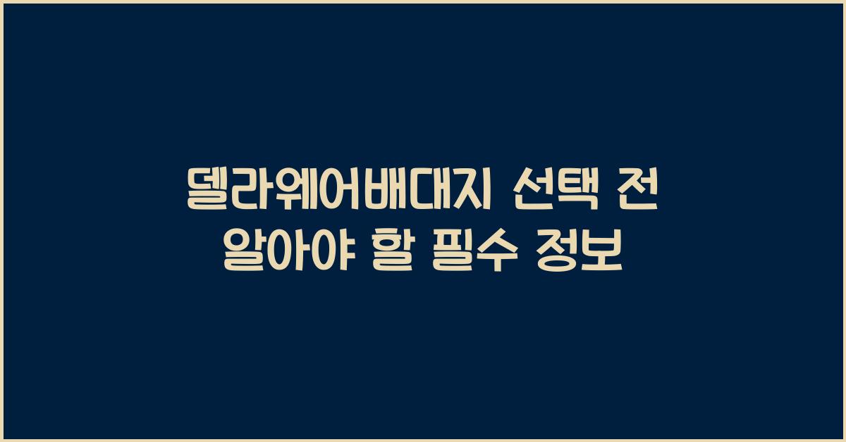 델라웨어배대지