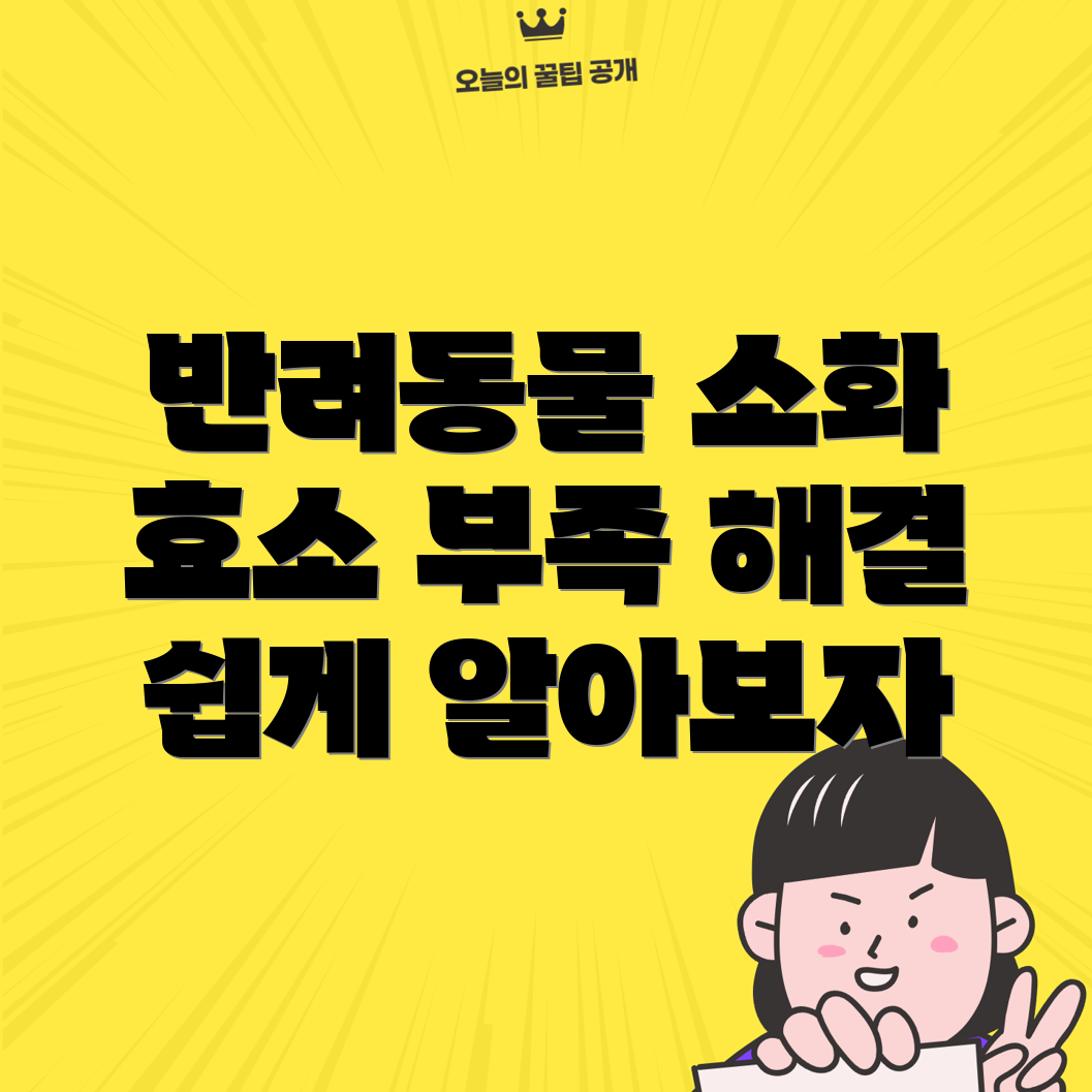 소화기 효소 부족