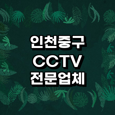 인천 중구 cctv