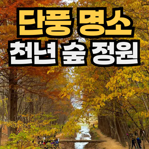 천년숲정원