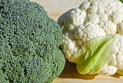 무릎-관절에-좋은-음식-건강