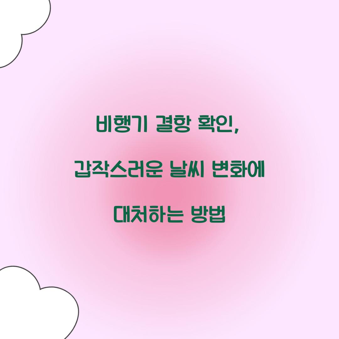 비행기 결항 확인