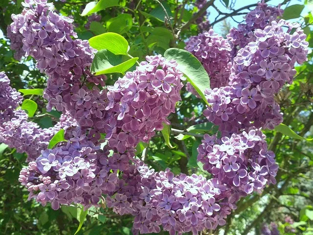 제습기 없이 습기 제거 끝 숯 염화칼슘 등 천연 제습제 활용법 완벽 가이드_2