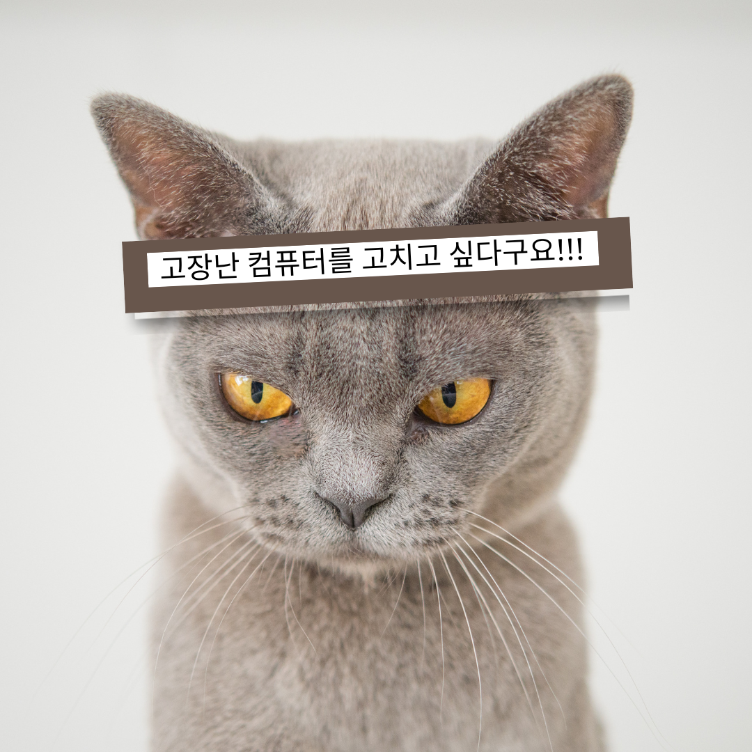 서비스센터는 어디에 있나요