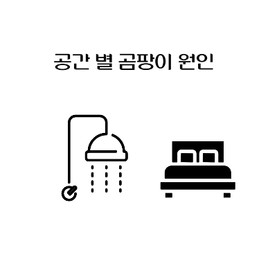 곰팡이-원인-제거-예방-벽지-욕실-베란다