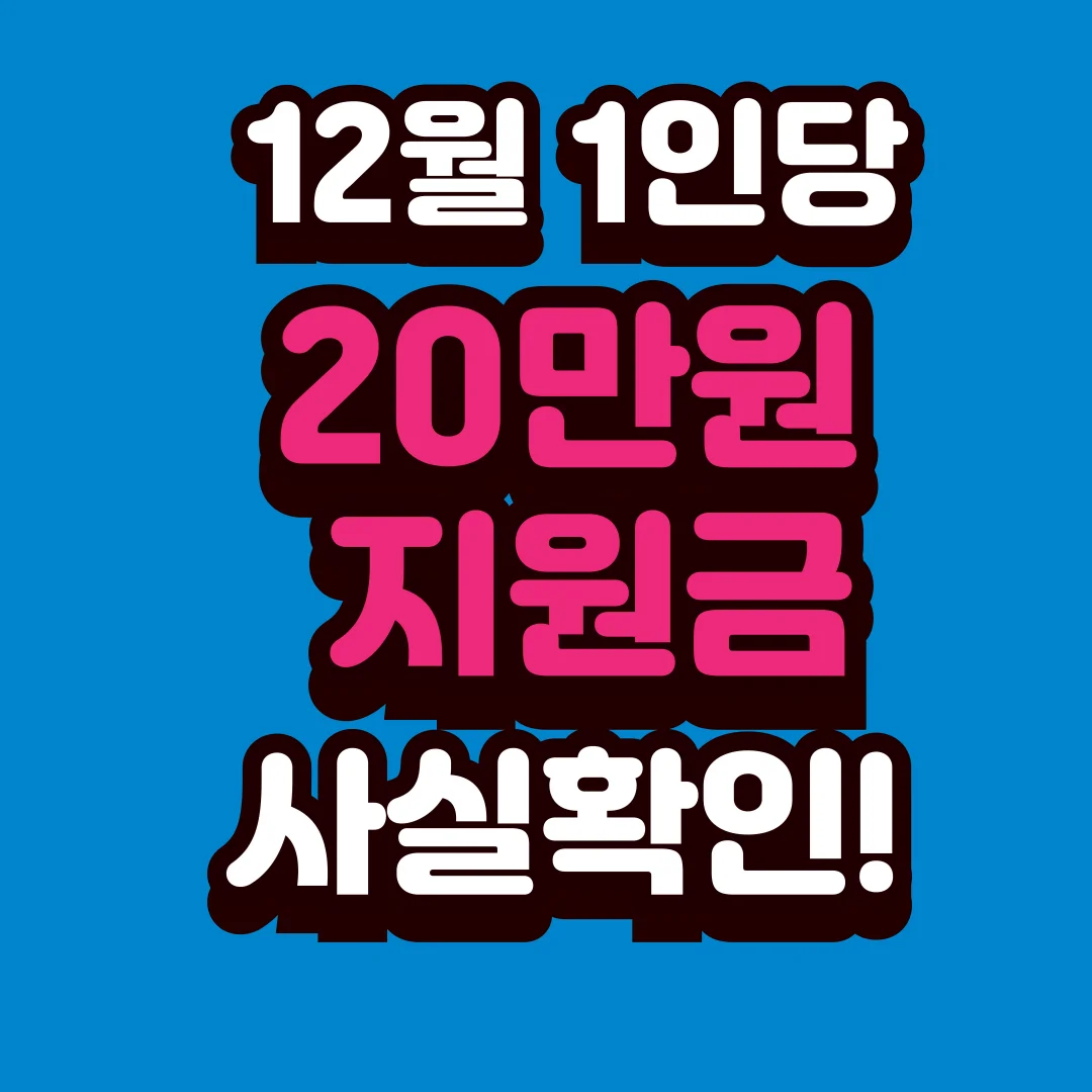 12월 1인당 20만원 지원금