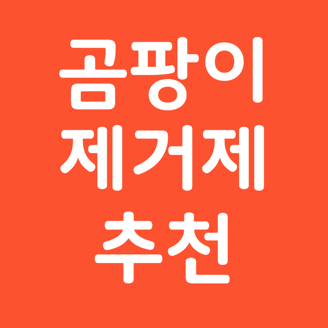 곰팡이 제거제 추천