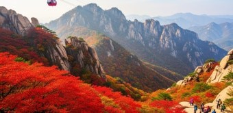 가을 설악산 권금성 단풍 사진