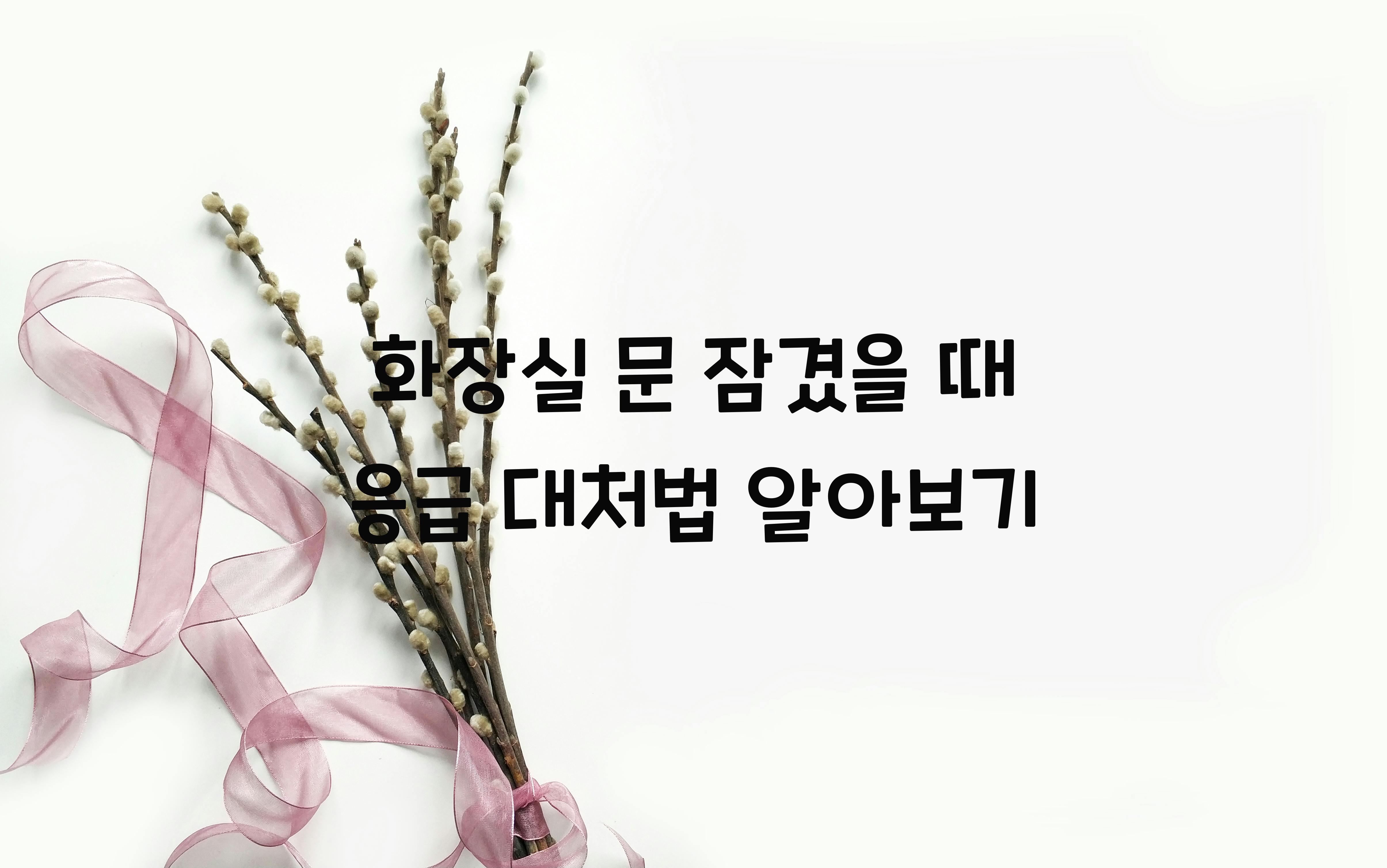 화장실 문 잠겼을 때 응급 대처법