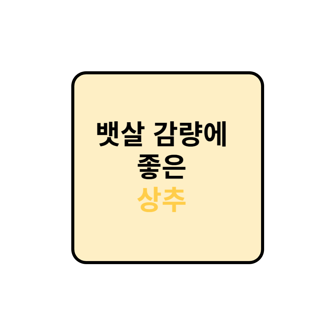 뱃살 감량에 좋은 : 상추