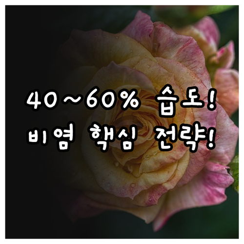 겨울철 비염 관리 핵심 전략 적정 습..