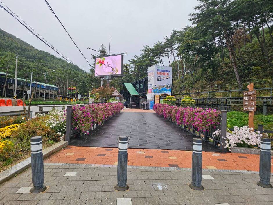 속리산 모노레일 새해맞이 특별운행