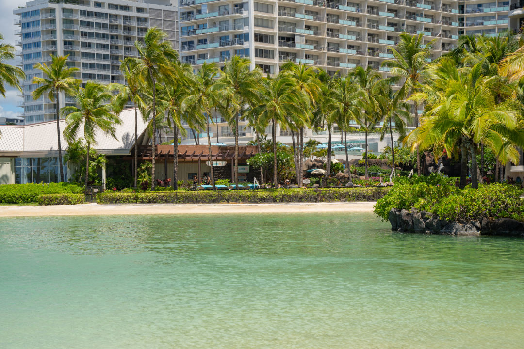 하와이 힐튼 호텔 라군 분위기