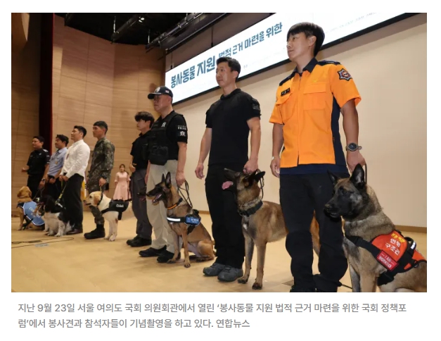 국가가 키운 '영웅'…그러나 은퇴 후에는 외면당하는 현실