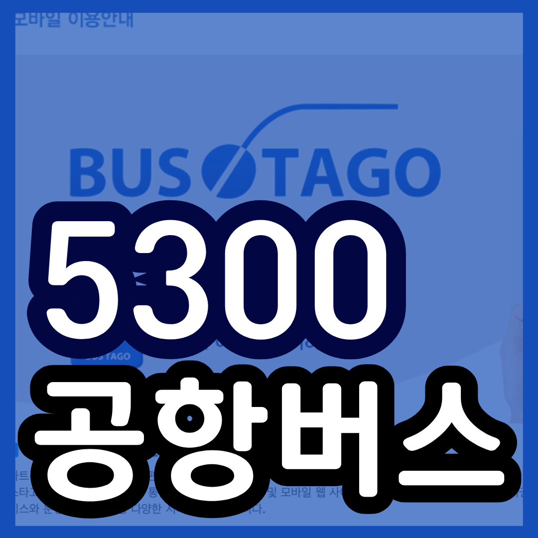 5300 공항버스 예매 시간표 리무진 버스 5300번 예약 (을지대 세이브존 모란역 야탑역 이매역 서현역 인천공항 / 서현역~인천공항)