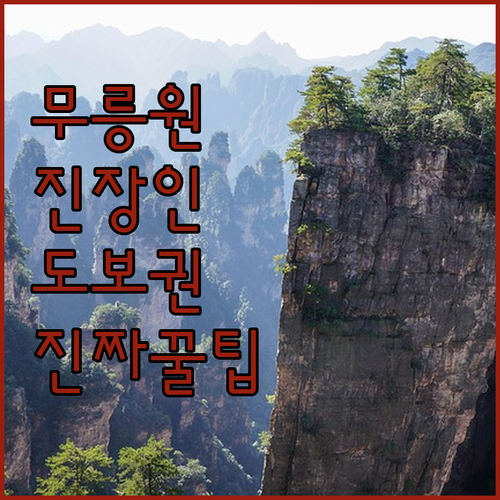 무릉원 입구 도보 이용 가능한 장가계..