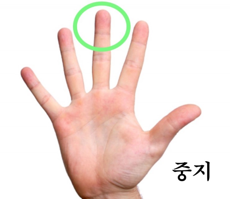 중지를 기준을-보는-손금