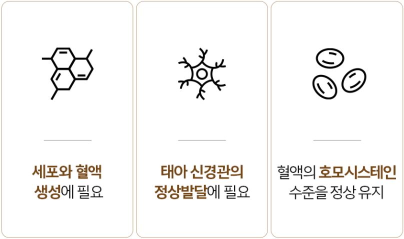 솔가 엽산 400