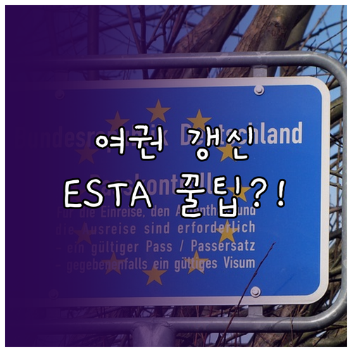 미국 ESTA 재신청 완벽 분석: 여..