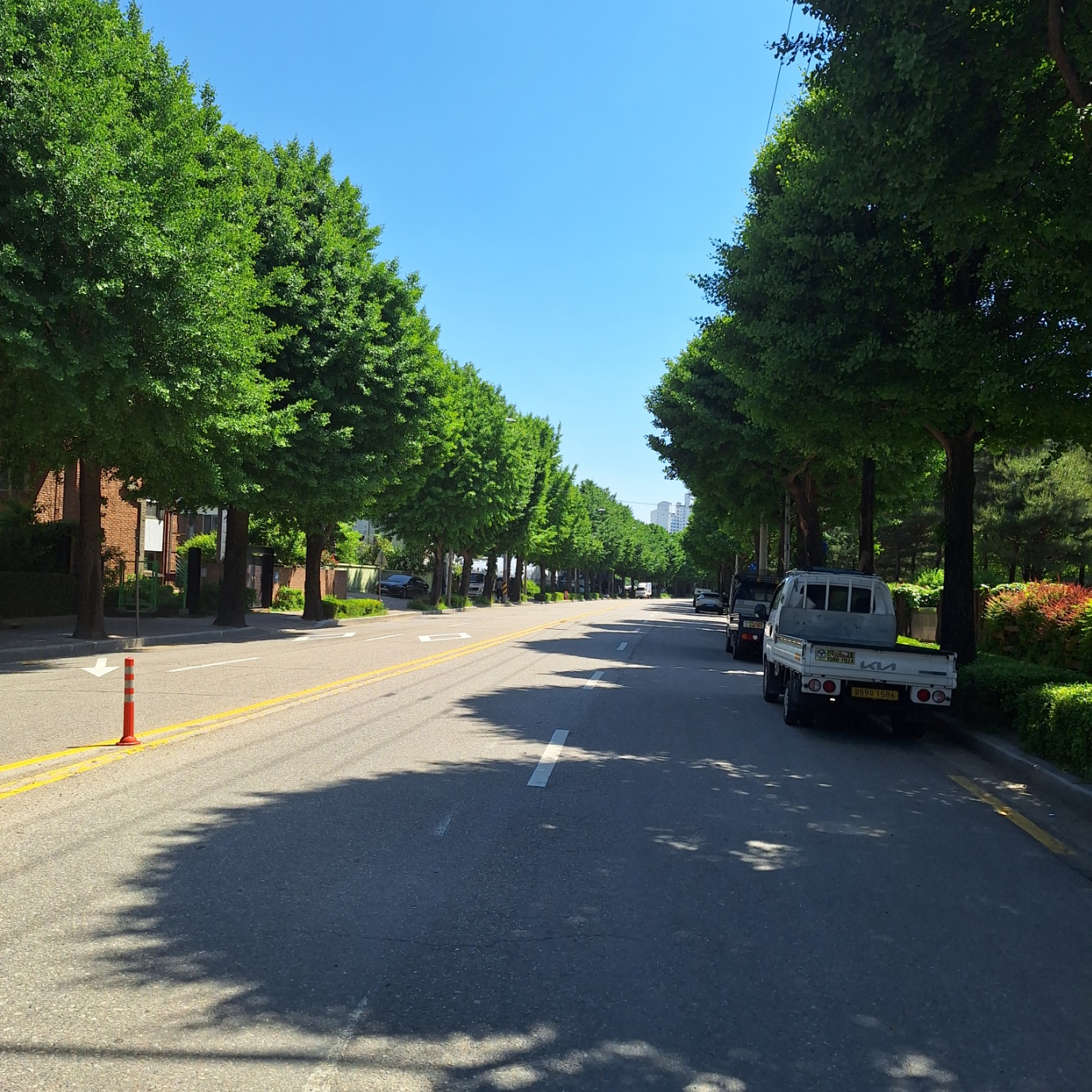 암사동유적지와 은행가로수길