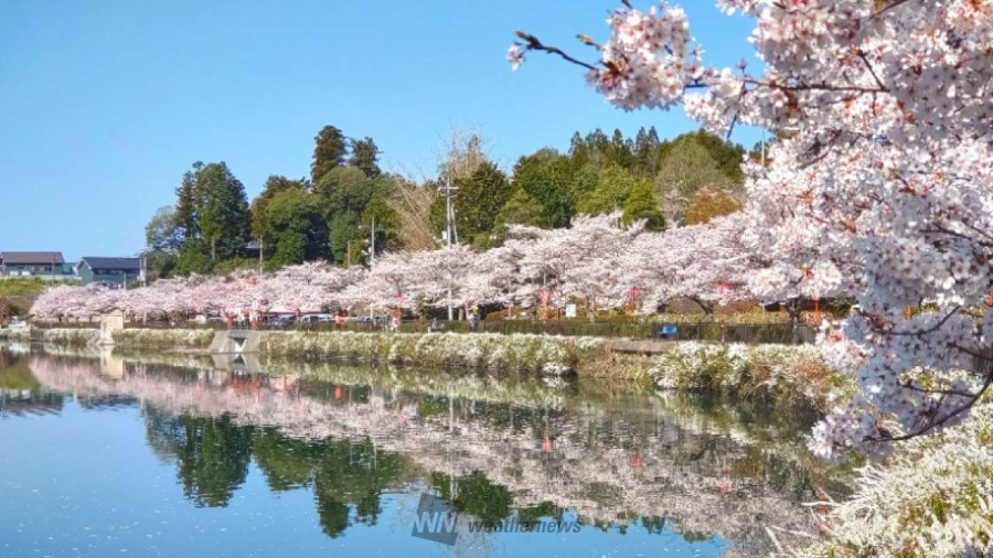 우에노 공원 모습