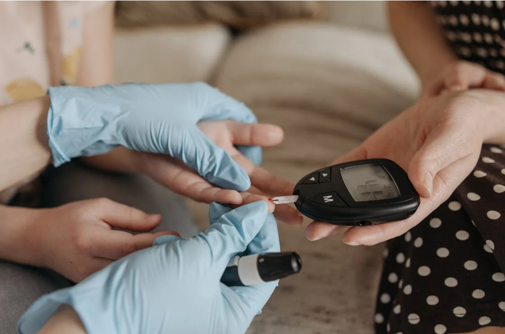 달마지꽃추출물 효과를 나타내느 혈당조절 활용 사진