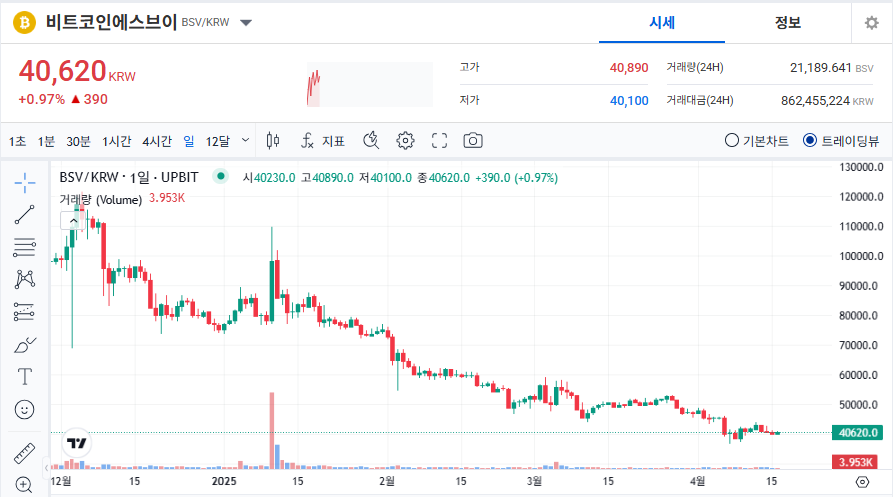 비트코인에스브이(BSV) 시세 가격 전망
