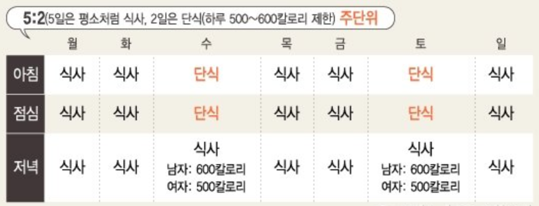 간헐적 단식 16:8 5:2 방법