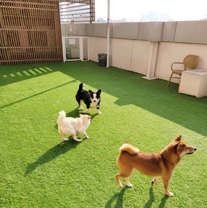 생생정보 틈새 알바 이거 어때