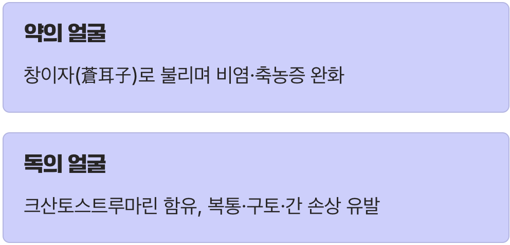 두 얼굴을 가진 약초